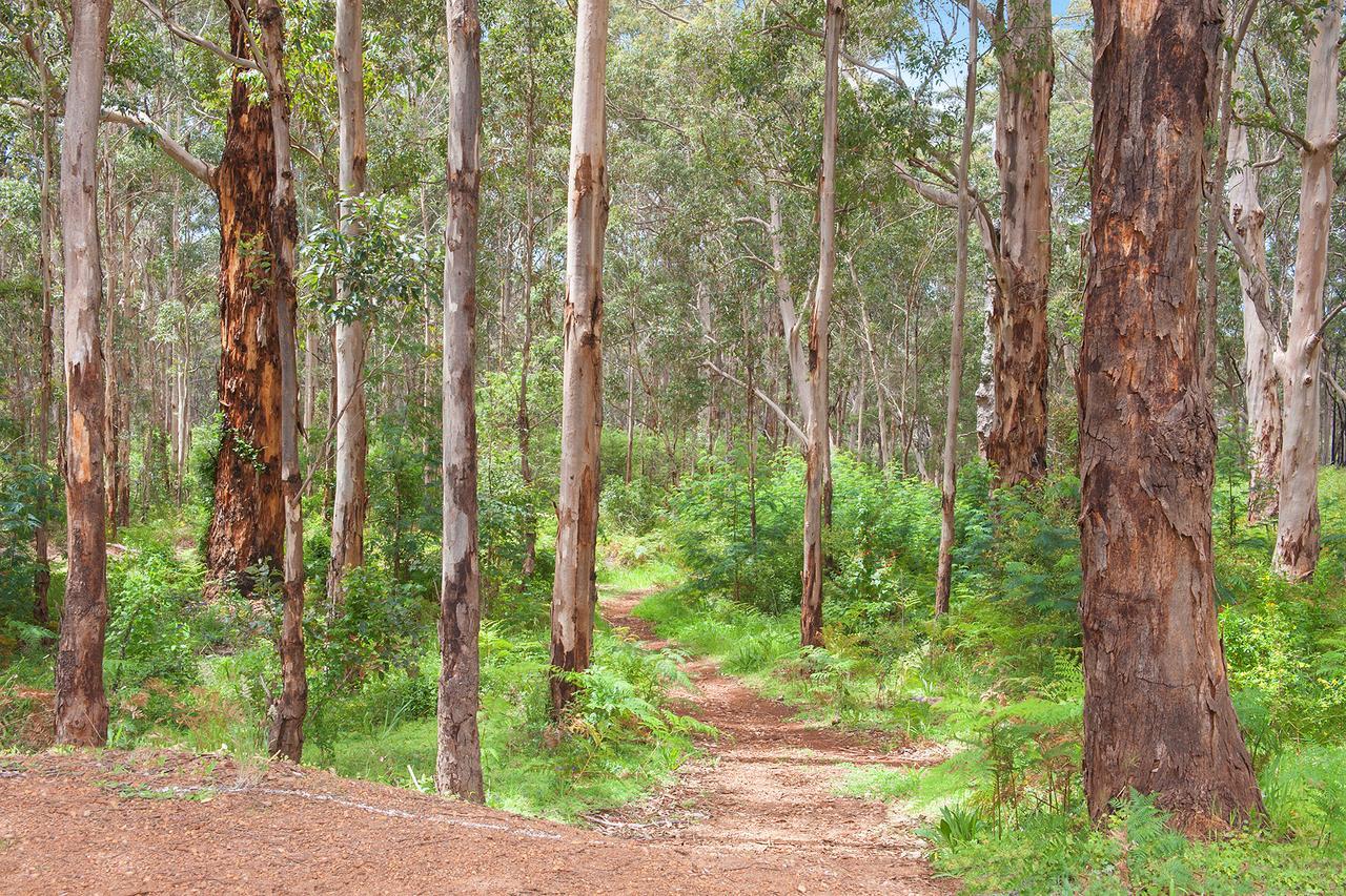 شقة Margaret River  في Chardonnay Studio المظهر الخارجي الصورة