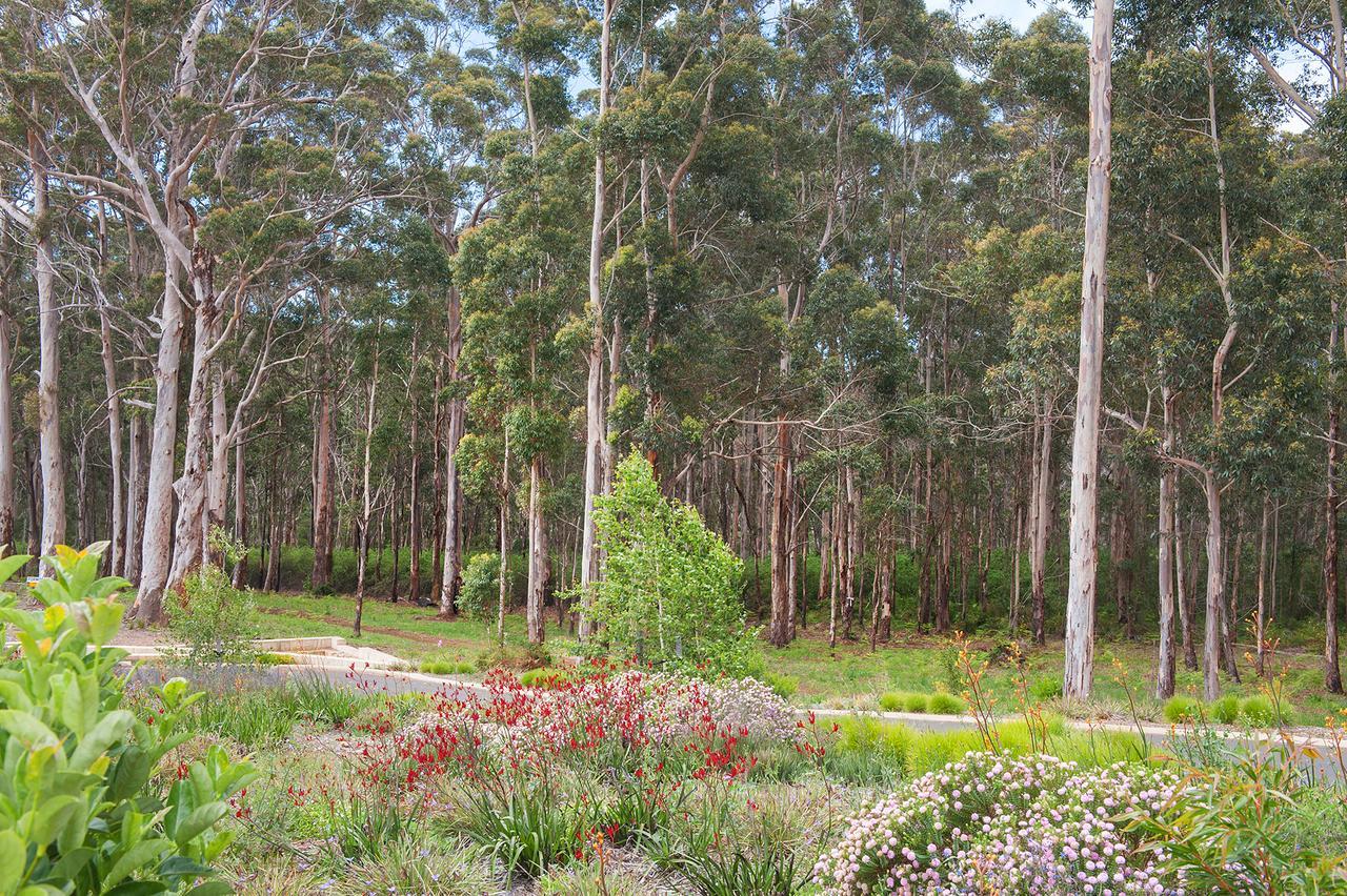 شقة Margaret River  في Chardonnay Studio المظهر الخارجي الصورة